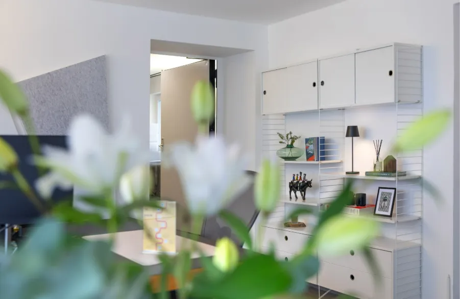 Modern eingerichtetes Büro mit Regalsystem und Arbeitsplatz für Büroräume nach Bedarf.